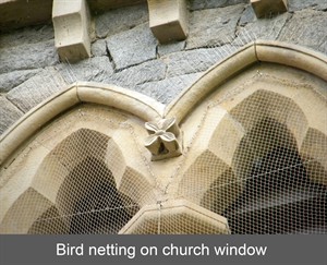 bird netting newry co down2