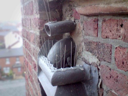 Detail photos of the bird spikes; a discreet solution to a bird control problem, at St Malachy's Church, Belfast, Co. Antrim, Northern Ireland