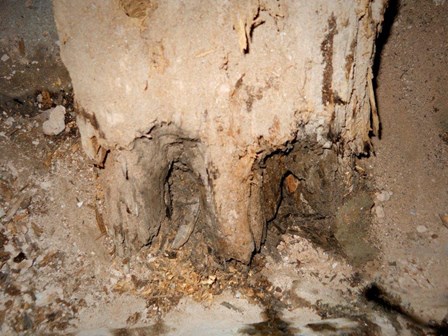 Evidence of damp and wet rot at The Guildhall, Derry, Northern Ireland: note the crumbling timbers