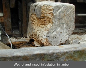 002 dry rot wet rot donegal timber damp dampness damp proofing splice repair belfast dublin northern ireland NI