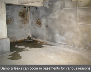 Waterproof basement cellar construction basement tanking cellar renovation seepage leak structural waterproofing northern Ireland NI