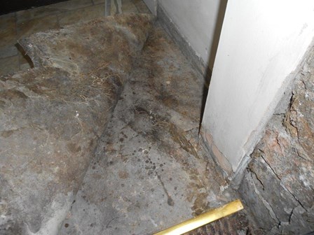 The dry rot strands can be seen growing along a non-wood surface, in this house in Belfast