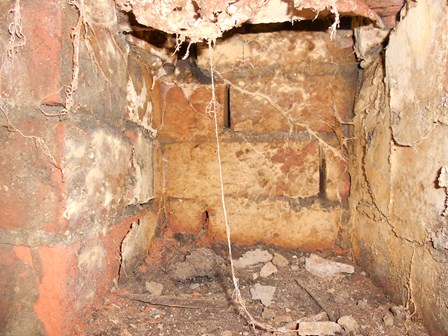 Dry rot, Belfast: The rising damp provided damp conditions for dry rot to grow; the mycelium is visible in the masonry.